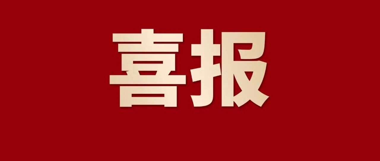 喜报 | 9888拉斯维加斯集团蝉联佛山企业100强、造作业100强、民企100强，三大榜单！
